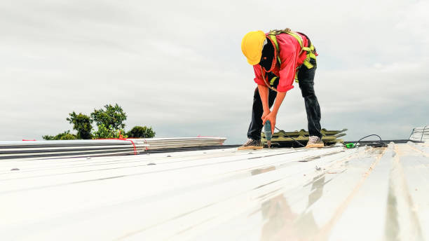 Best Roof Maintenance and Cleaning  in Bloomingdale, NJ